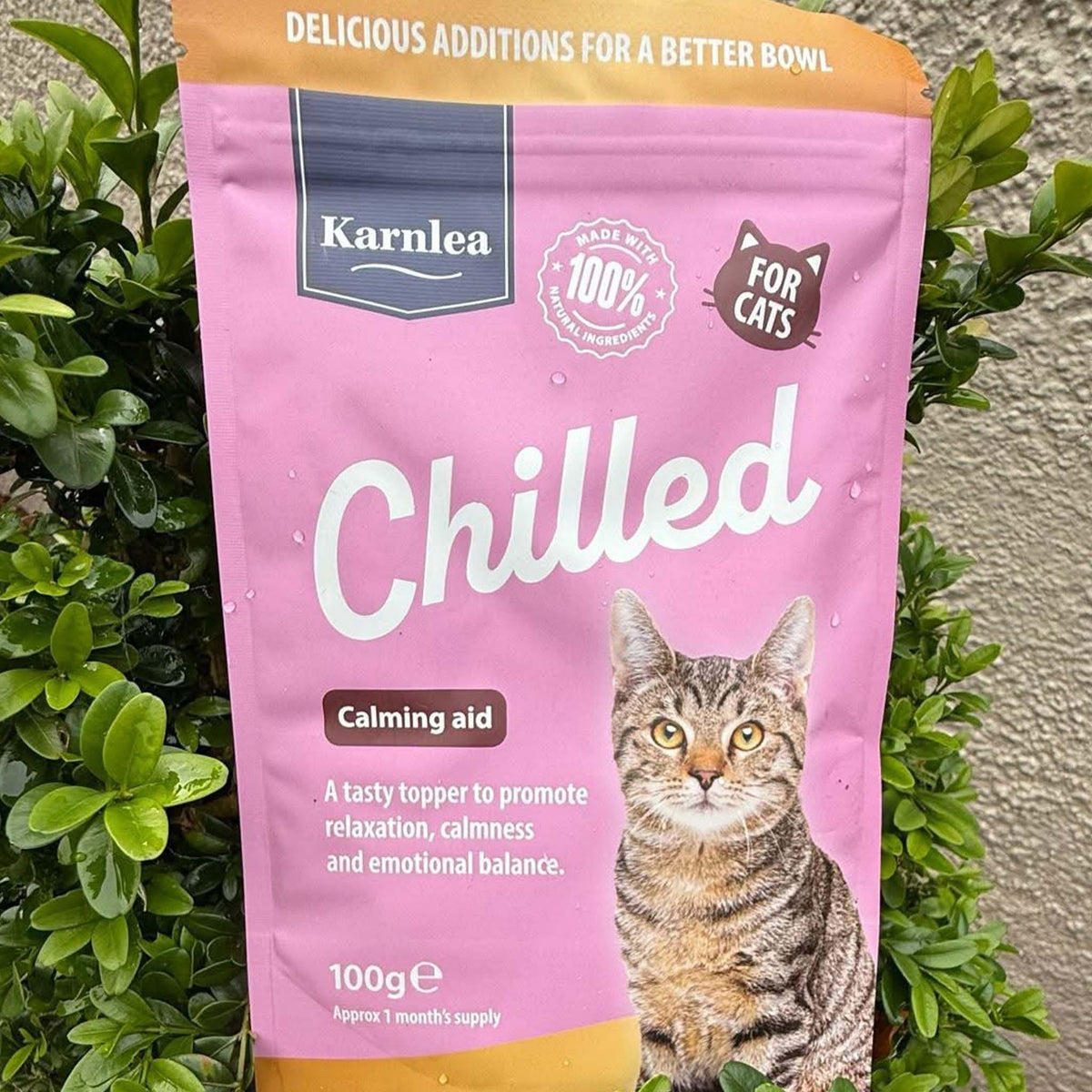 Chilled - Calming Aid for Cats