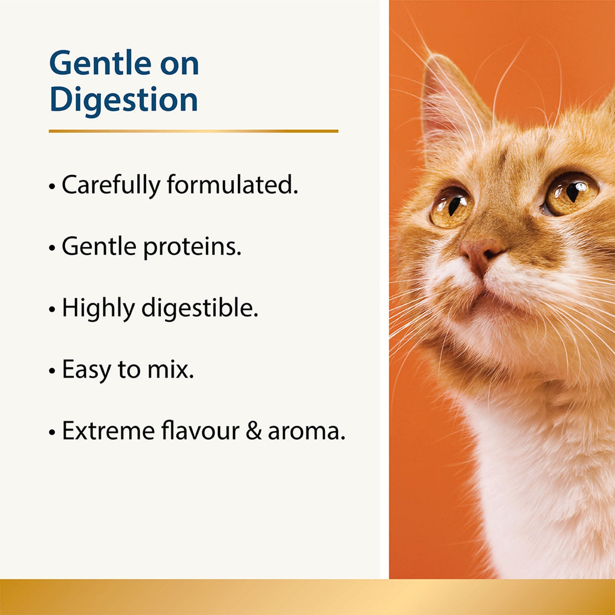 Hydrate - Hydration Aid for Cats