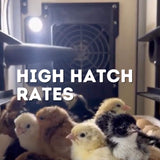 360 Eggs Incubator Kit (180 Set + 180 Hatch)