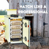 CT120 H - Egg Hatcher Only - Automatic Poultry Hatching Machine