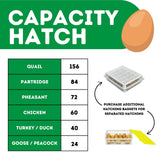 CT60 H - Egg Hatcher Only - Automatic Poultry Hatching Machine
