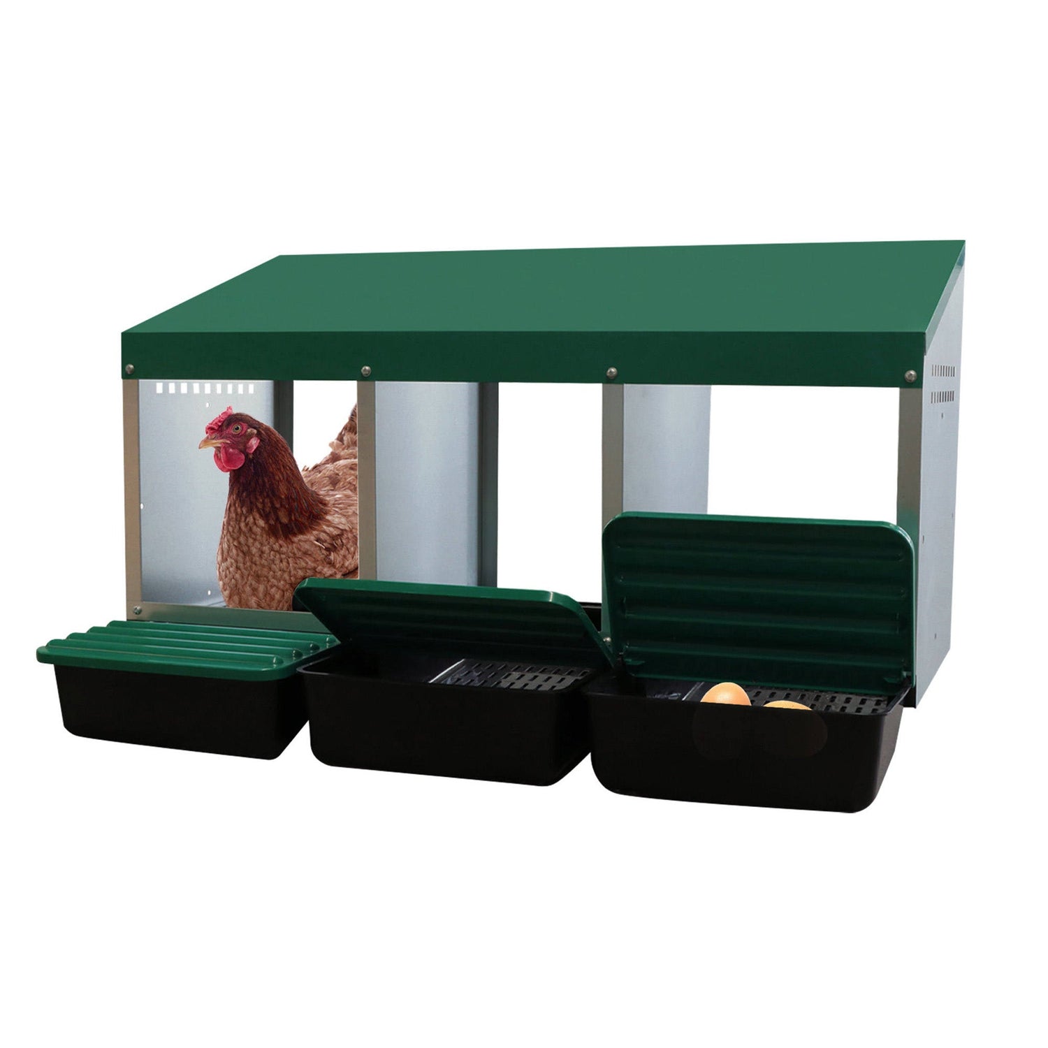 EggHouse Galvanized Nesting Box (Up to 30 Birds)