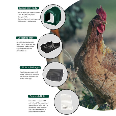 EggHouse Roll-Out Nesting Box Wall Mount up to 10 Birds