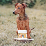 Pumpkin Powder for Dogs