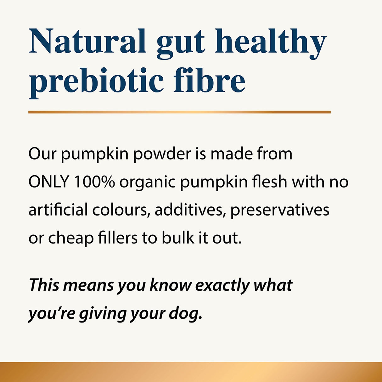 Pumpkin Powder for Dogs