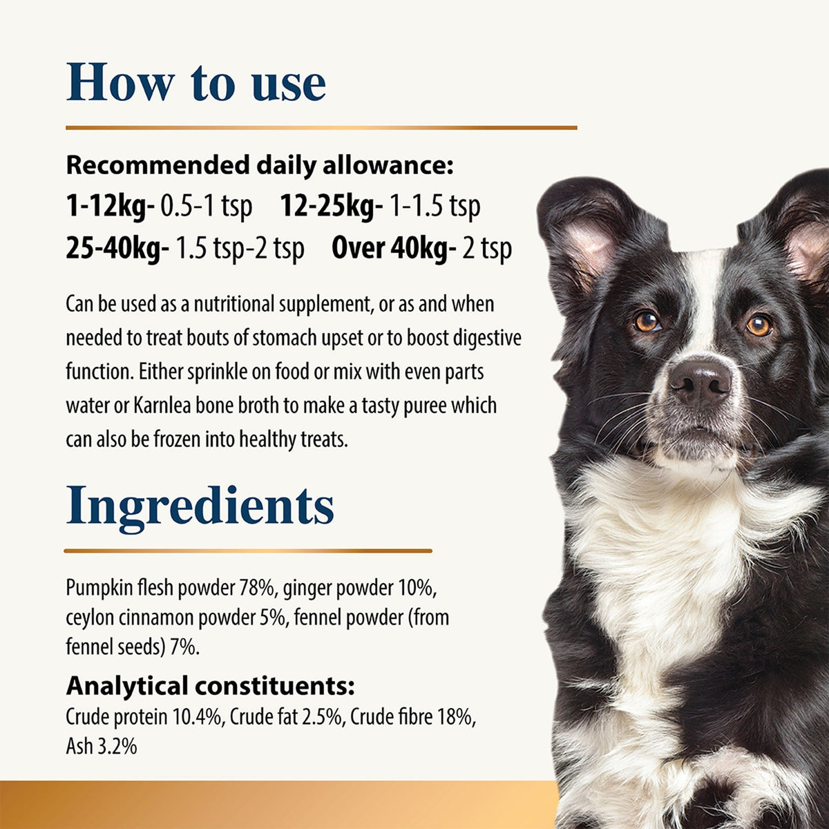 Pumpkin & Spice Powder Topper for Dogs
