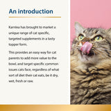 Appetite - Fussy Eaters for Cats