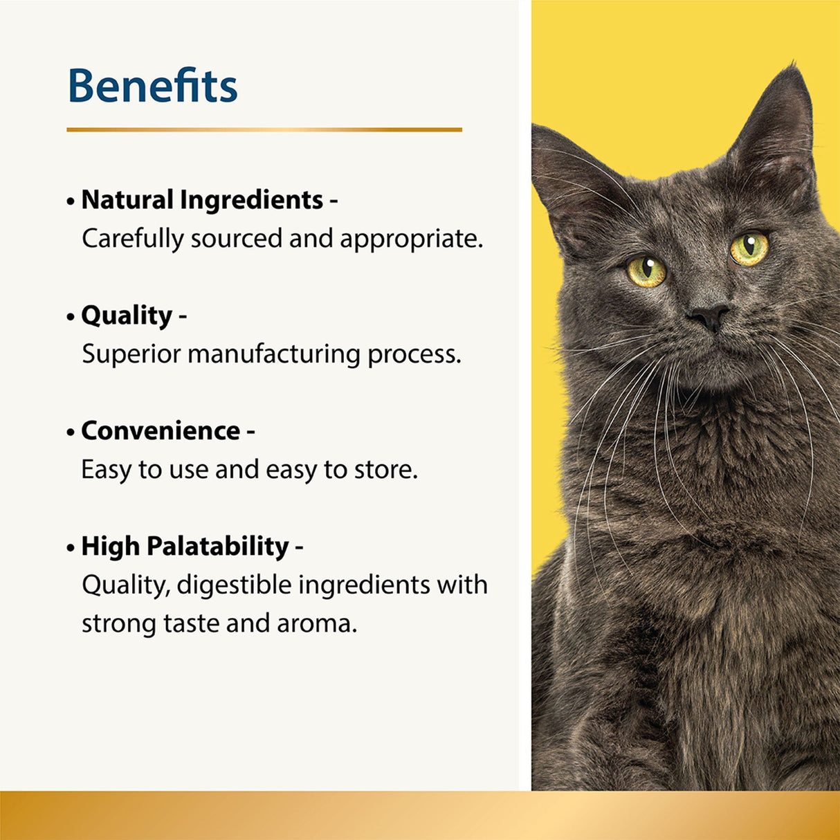 Beauty - Skin & Coat for Cats 3.5 oz