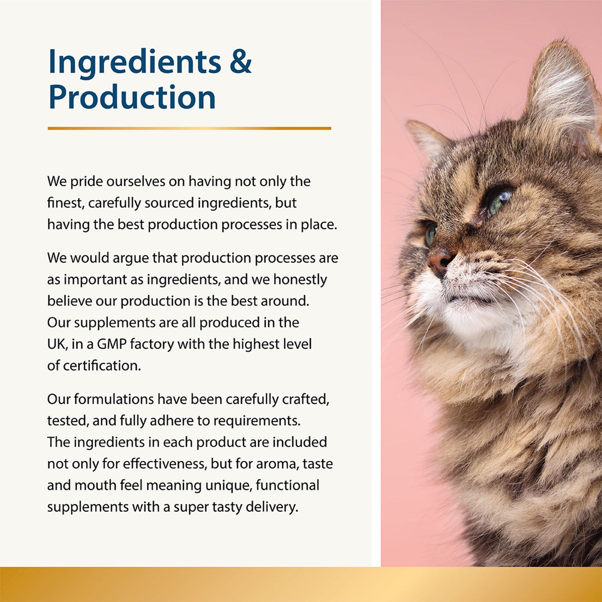 Beauty - Skin & Coat for Cats 3.5 oz