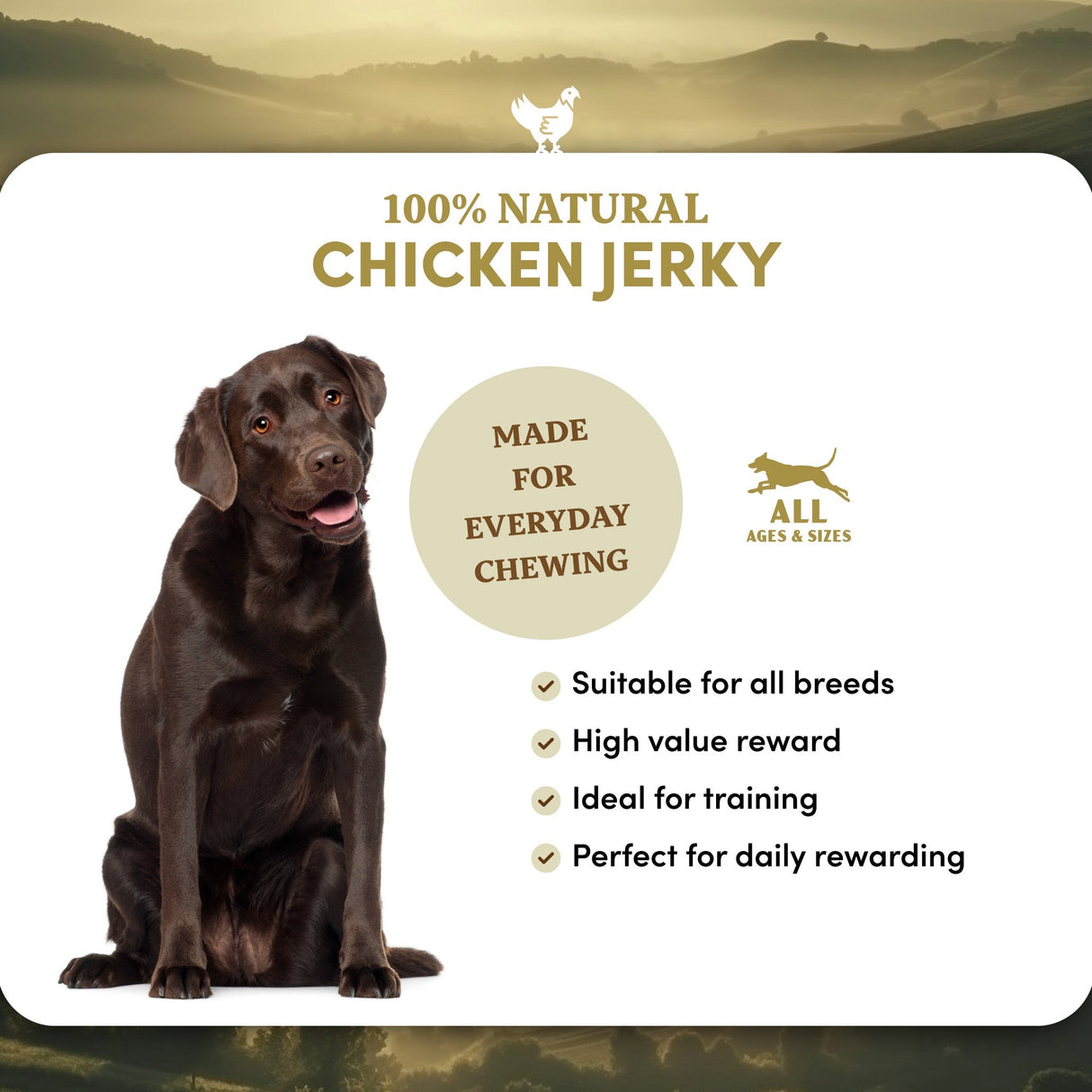 Chicken Jerky - Dog Treats (8.8 oz)