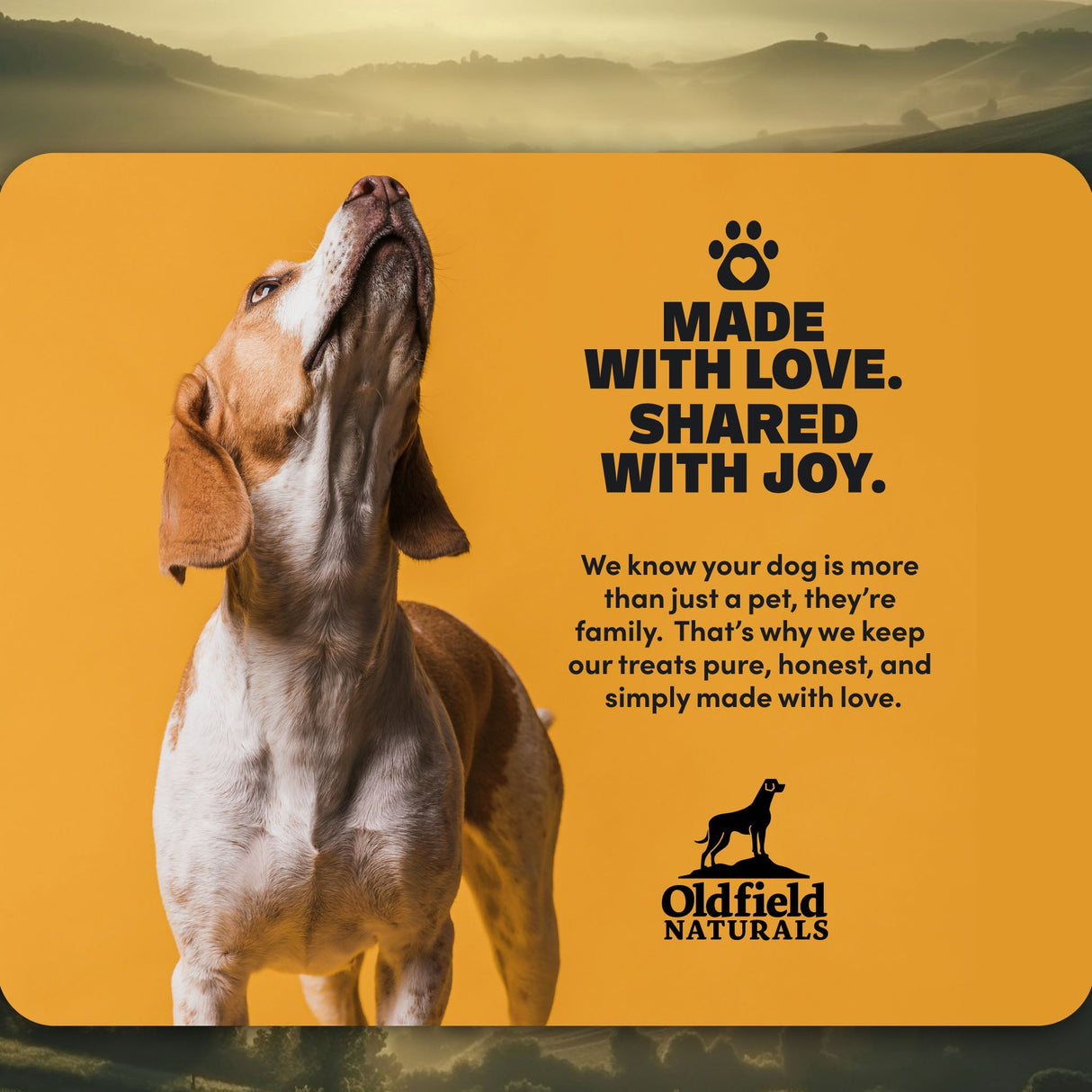 Chicken Jerky - Dog Treats (8.8 oz)