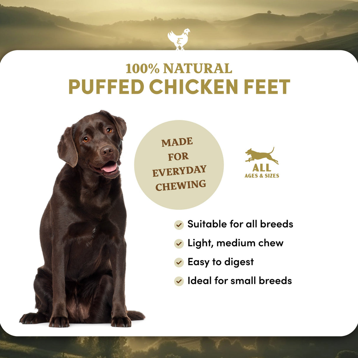 Puffed Chicken Feet - Dog Treats