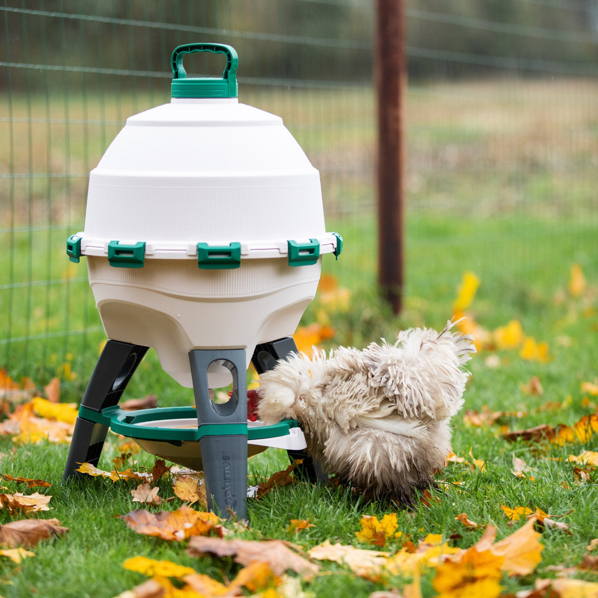 Optimus Poultry Drinker - 6 Gallon