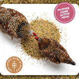 Bone and Mobility - Joint & Bone Support (Chicken Feed Additive)